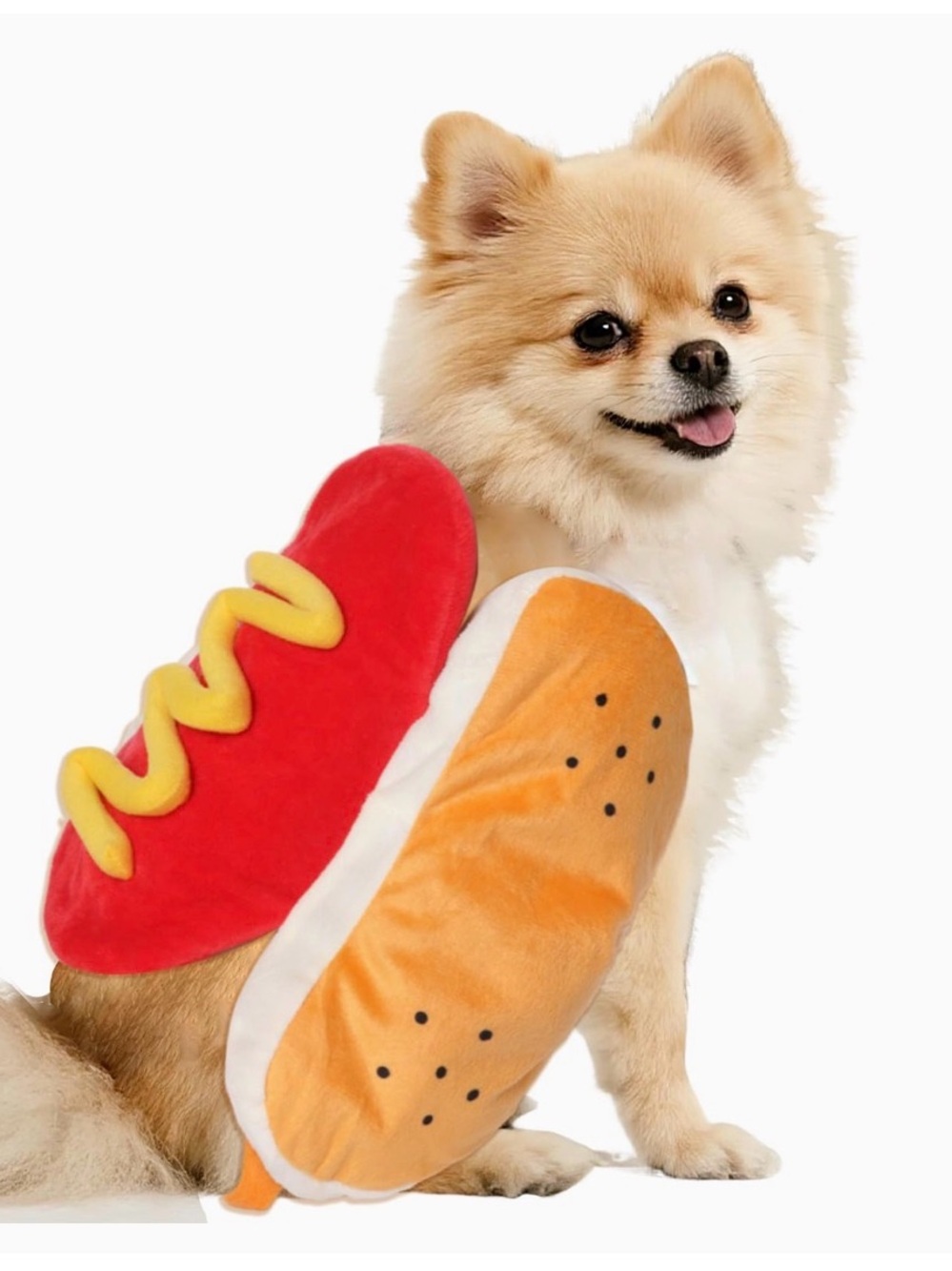 Small Dog - Hot Dog Costume